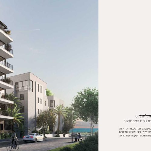 נחליאלי 6_חדש דחוס-2