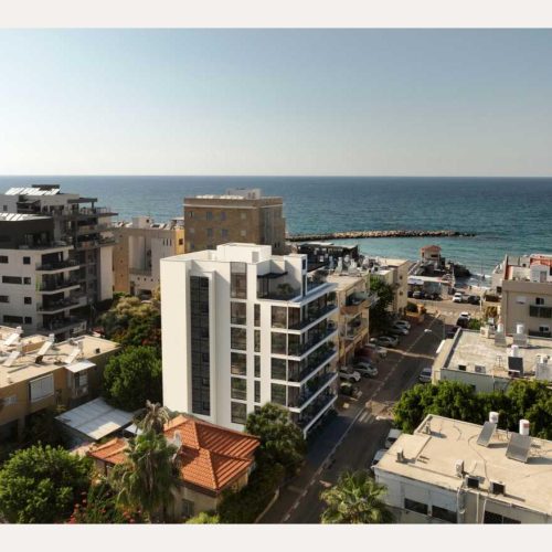 נחליאלי 6_חדש דחוס-8