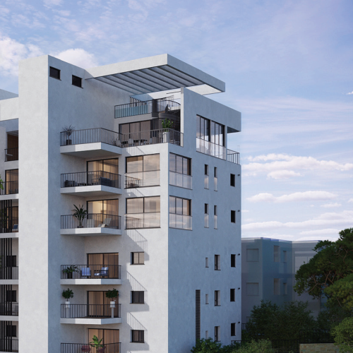 צילום מסך 2025-12-16 114624